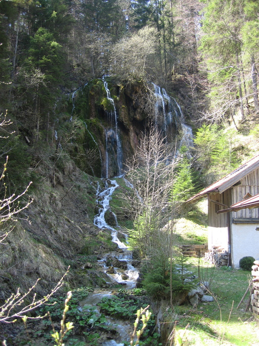 img_7234.jpg