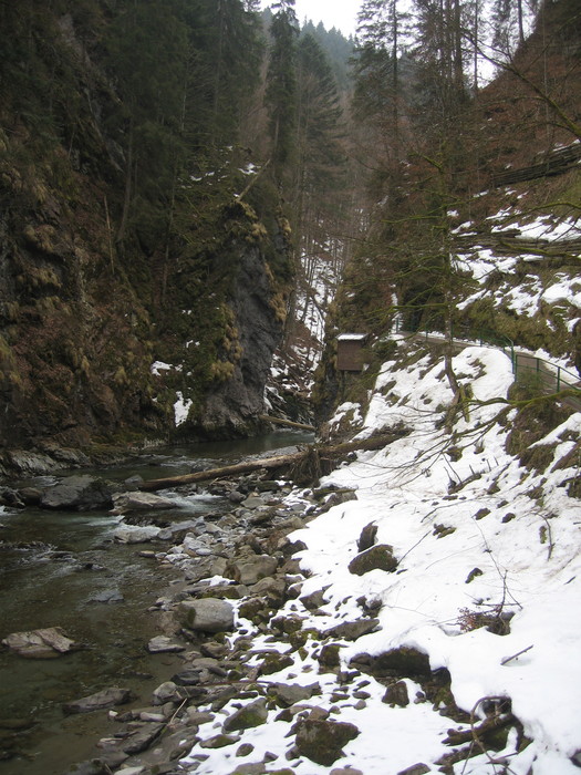 IMG_8855.JPG