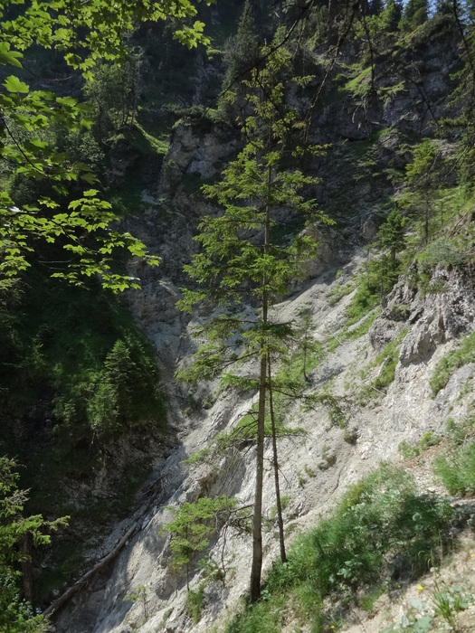 Grasköpfl 07898.JPG