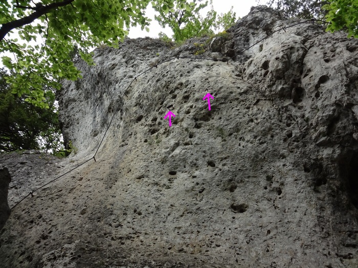 Höhenglücksteig 02811.JPG
