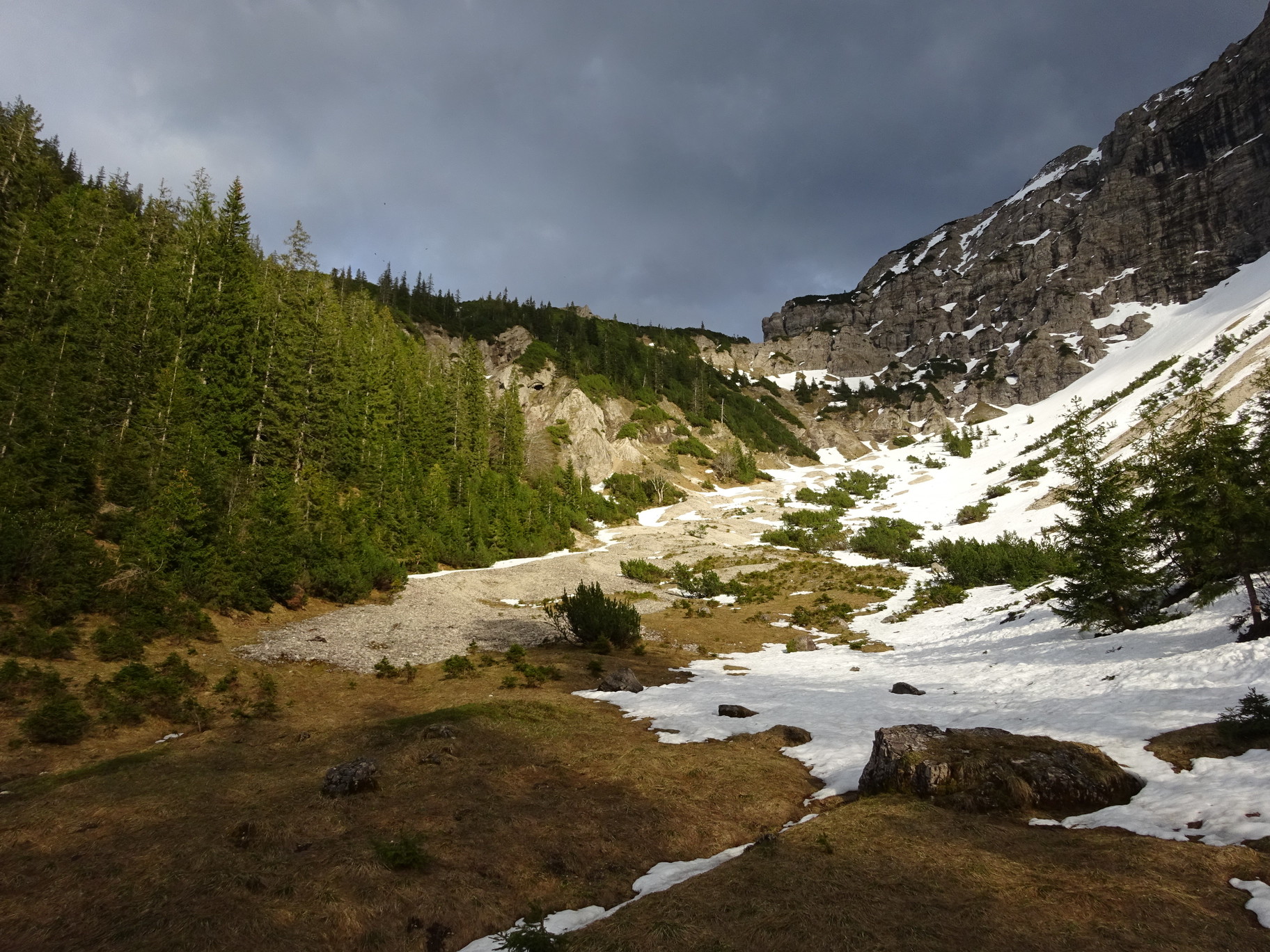 tmp_DSC09994.JPG