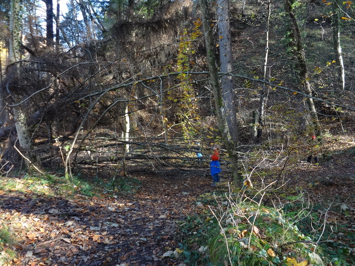 Pählerschlucht 03433.JPG
