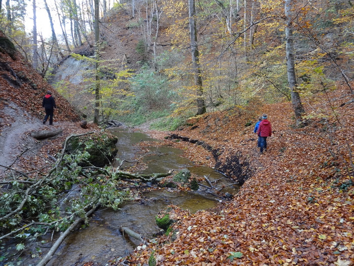 Pählerschlucht 03559.JPG