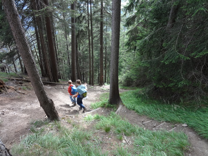 Peter-Kofler-Klettersteig 10609.JPG