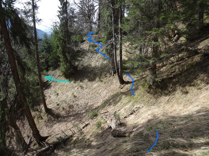 Speibenkäsgraben 09067.JPG