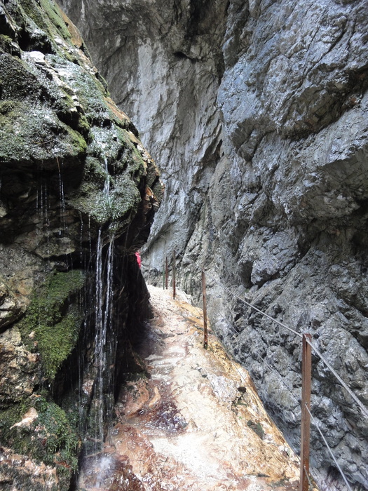 Stangensteig 06352.JPG